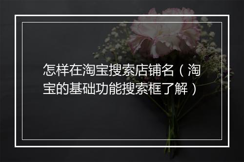 怎样在淘宝搜索店铺名（淘宝的基础功能搜索框了解）