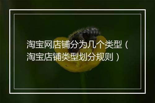淘宝网店铺分为几个类型（淘宝店铺类型划分规则）