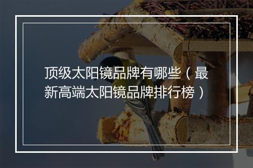 顶级太阳镜品牌有哪些（最新高端太阳镜品牌排行榜）