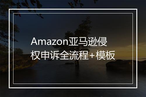 Amazon亚马逊侵权申诉全流程+模板