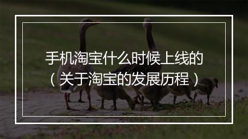 手机淘宝什么时候上线的（关于淘宝的发展历程）