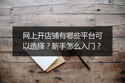 网上开店铺有哪些平台可以选择？新手怎么入门？