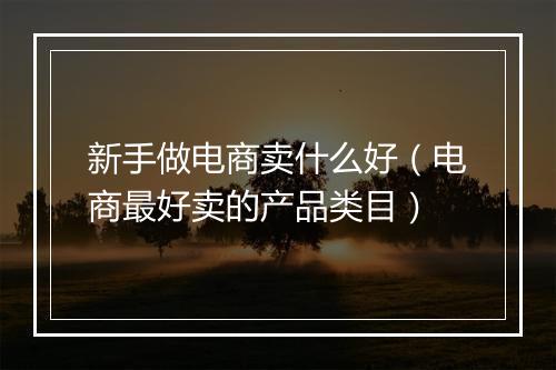 新手做电商卖什么好（电商最好卖的产品类目）