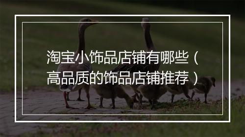 淘宝小饰品店铺有哪些（高品质的饰品店铺推荐）