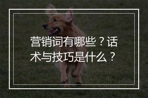 营销词有哪些？话术与技巧是什么？