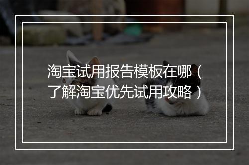 淘宝试用报告模板在哪（了解淘宝优先试用攻略）