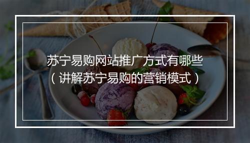 苏宁易购网站推广方式有哪些（讲解苏宁易购的营销模式）