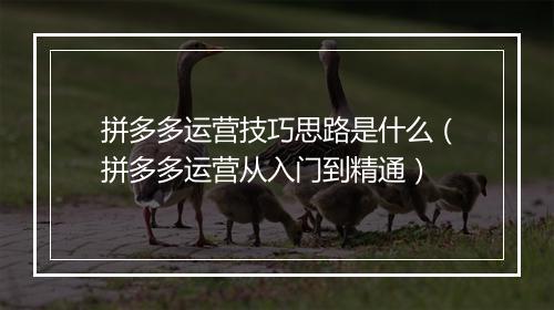 拼多多运营技巧思路是什么（拼多多运营从入门到精通）