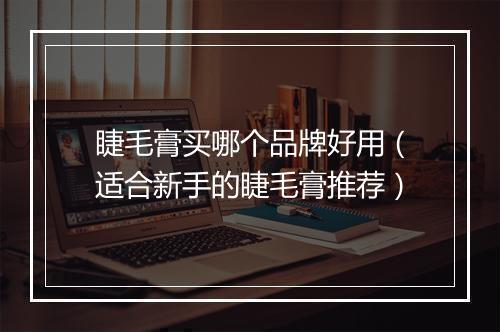 睫毛膏买哪个品牌好用（适合新手的睫毛膏推荐）