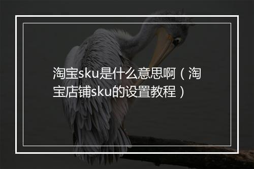 淘宝sku是什么意思啊（淘宝店铺sku的设置教程）