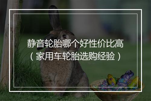 静音轮胎哪个好性价比高（家用车轮胎选购经验）