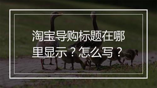 淘宝导购标题在哪里显示？怎么写？
