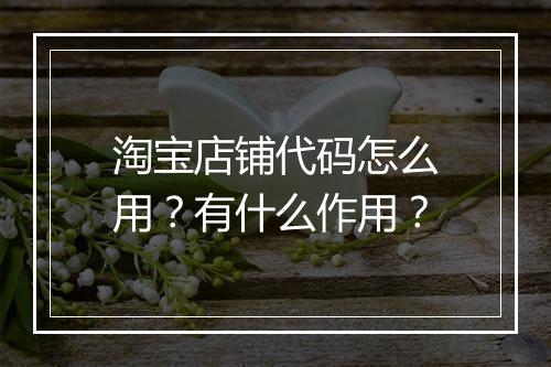 淘宝店铺代码怎么用？有什么作用？