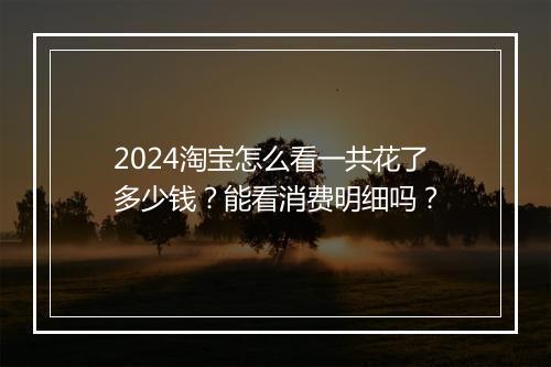 2024淘宝怎么看一共花了多少钱？能看消费明细吗？