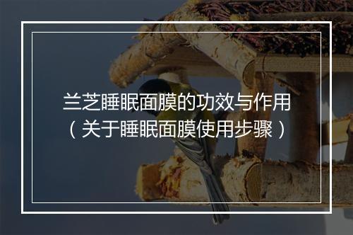 兰芝睡眠面膜的功效与作用（关于睡眠面膜使用步骤）