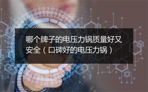 哪个牌子的电压力锅质量好又安全（口碑好的电压力锅）