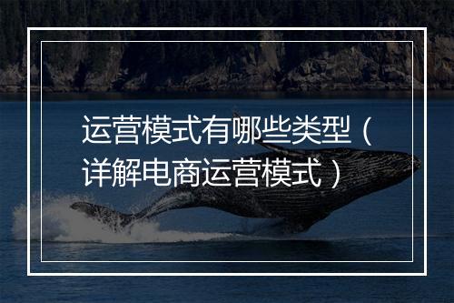 运营模式有哪些类型（详解电商运营模式）