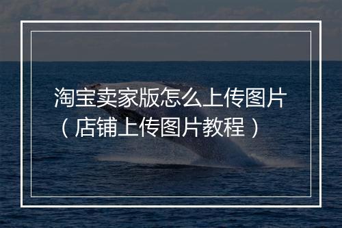 淘宝卖家版怎么上传图片（店铺上传图片教程）