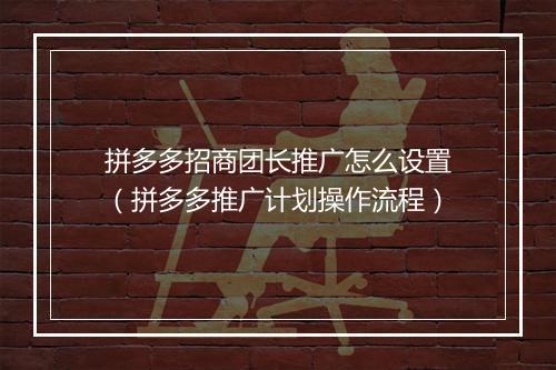 拼多多招商团长推广怎么设置（拼多多推广计划操作流程）
