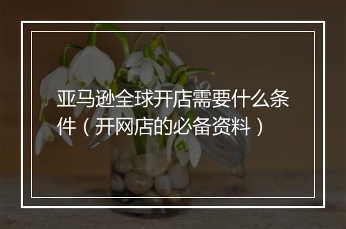 亚马逊全球开店需要什么条件（开网店的必备资料）