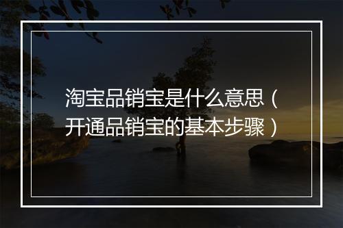 淘宝品销宝是什么意思（开通品销宝的基本步骤）