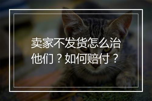 卖家不发货怎么治他们？如何赔付？