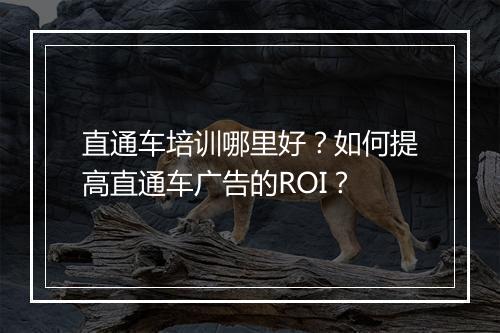 直通车培训哪里好？如何提高直通车广告的ROI？