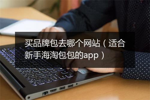 买品牌包去哪个网站（适合新手海淘包包的app）