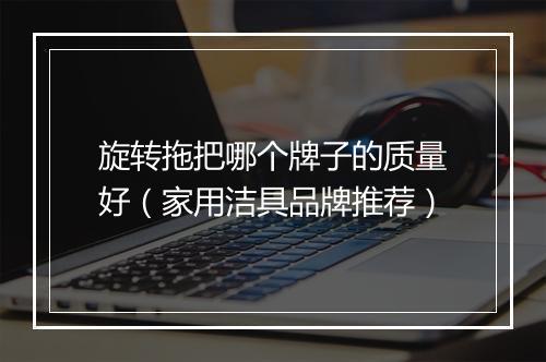 旋转拖把哪个牌子的质量好（家用洁具品牌推荐）