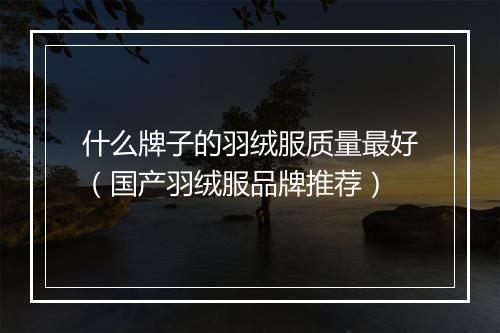 什么牌子的羽绒服质量最好（国产羽绒服品牌推荐）