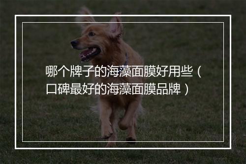 哪个牌子的海藻面膜好用些（口碑最好的海藻面膜品牌）