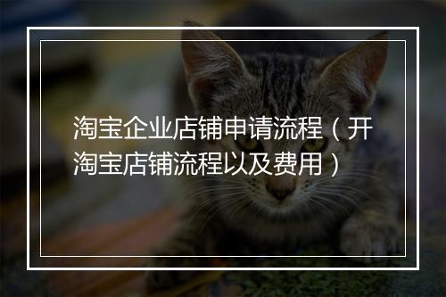 淘宝企业店铺申请流程（开淘宝店铺流程以及费用）
