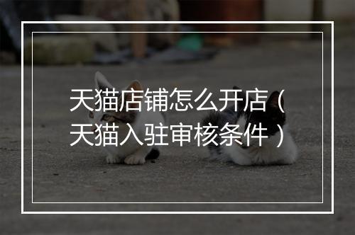 天猫店铺怎么开店（天猫入驻审核条件）