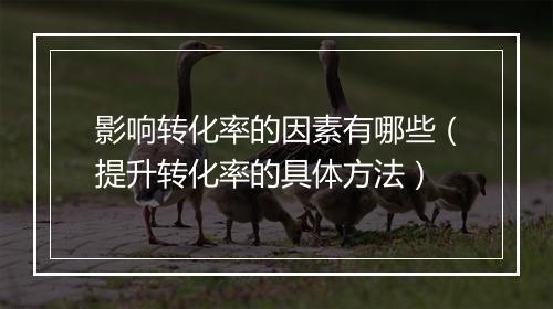 影响转化率的因素有哪些（提升转化率的具体方法）