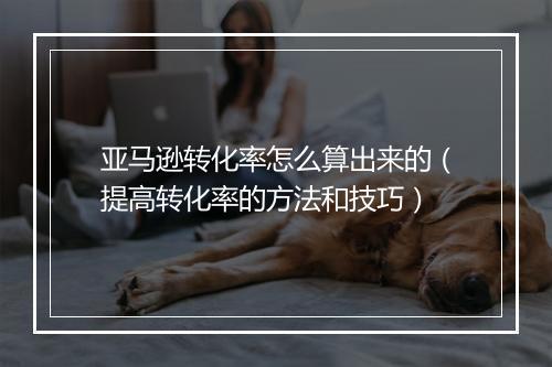 亚马逊转化率怎么算出来的（提高转化率的方法和技巧）
