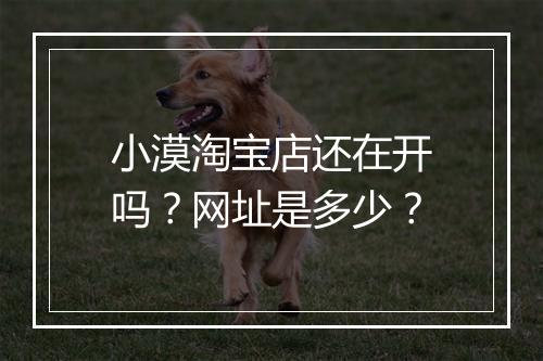 小漠淘宝店还在开吗？网址是多少？