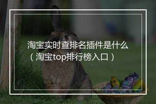 淘宝实时查排名插件是什么（淘宝top排行榜入口）