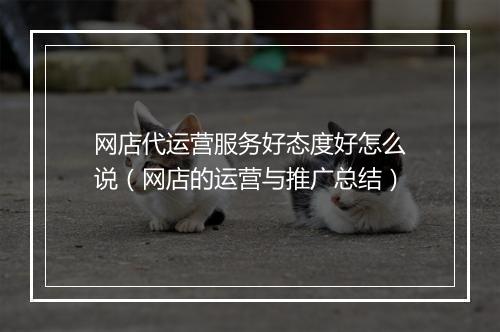 网店代运营服务好态度好怎么说（网店的运营与推广总结）