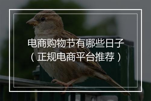 电商购物节有哪些日子（正规电商平台推荐）