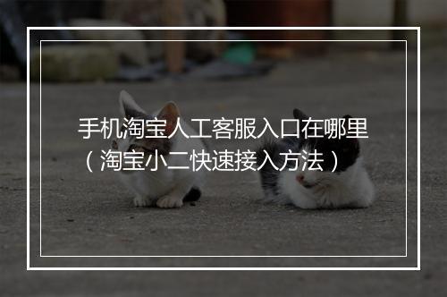 手机淘宝人工客服入口在哪里（淘宝小二快速接入方法）