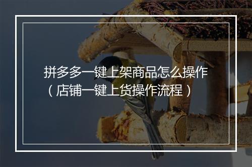 拼多多一键上架商品怎么操作（店铺一键上货操作流程）