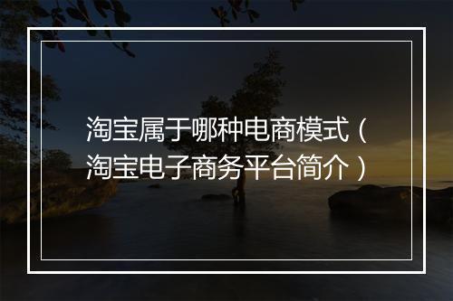 淘宝属于哪种电商模式（淘宝电子商务平台简介）