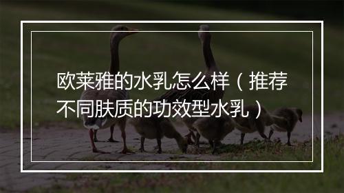 欧莱雅的水乳怎么样（推荐不同肤质的功效型水乳）
