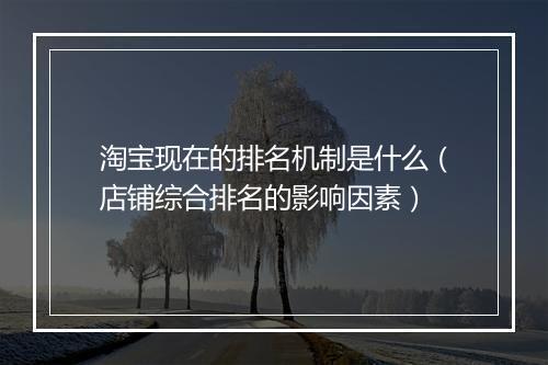 淘宝现在的排名机制是什么（店铺综合排名的影响因素）