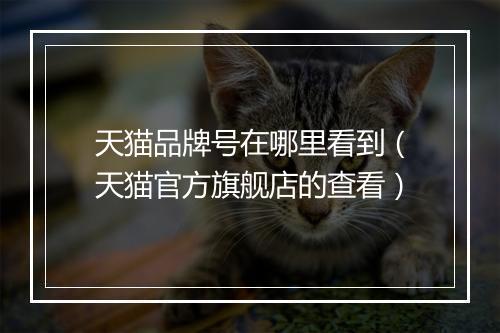 天猫品牌号在哪里看到（天猫官方旗舰店的查看）