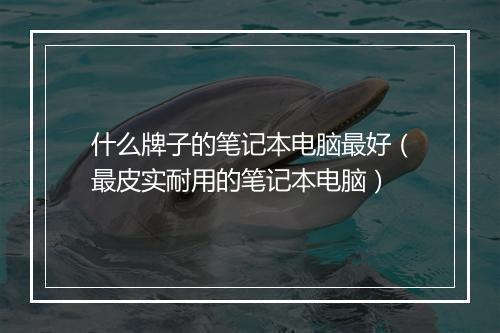 什么牌子的笔记本电脑最好（最皮实耐用的笔记本电脑）