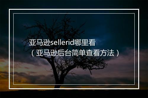亚马逊sellerid哪里看（亚马逊后台简单查看方法）