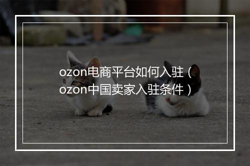 ozon电商平台如何入驻（ozon中国卖家入驻条件）