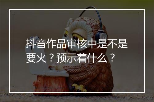 抖音作品审核中是不是要火？预示着什么？
