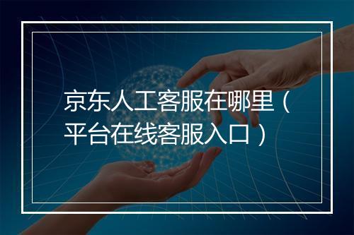 京东人工客服在哪里（平台在线客服入口）